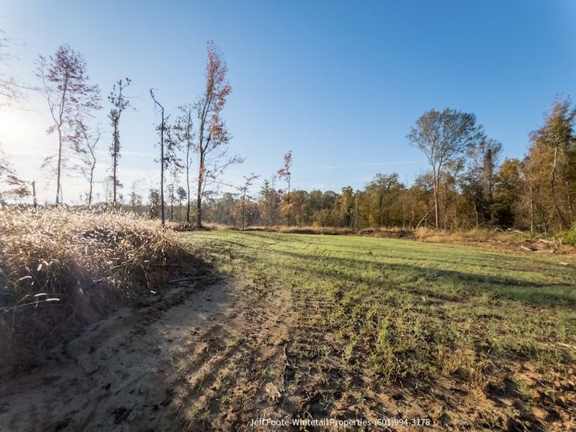 Claiborne Co-151-Geronimo-48