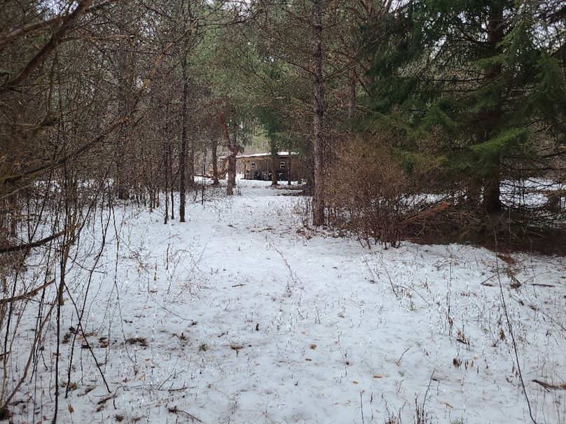 photo_c85a4dea-05ac-4bbf-8069-9e0140f6a2b4