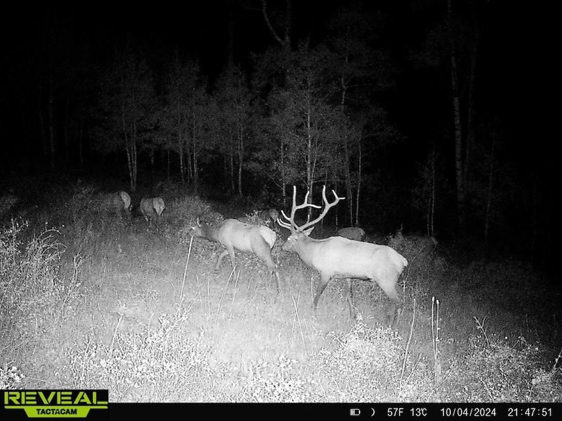 Copy of 864049052055672-10-4-10042024214750-HD-W1001314 (1)