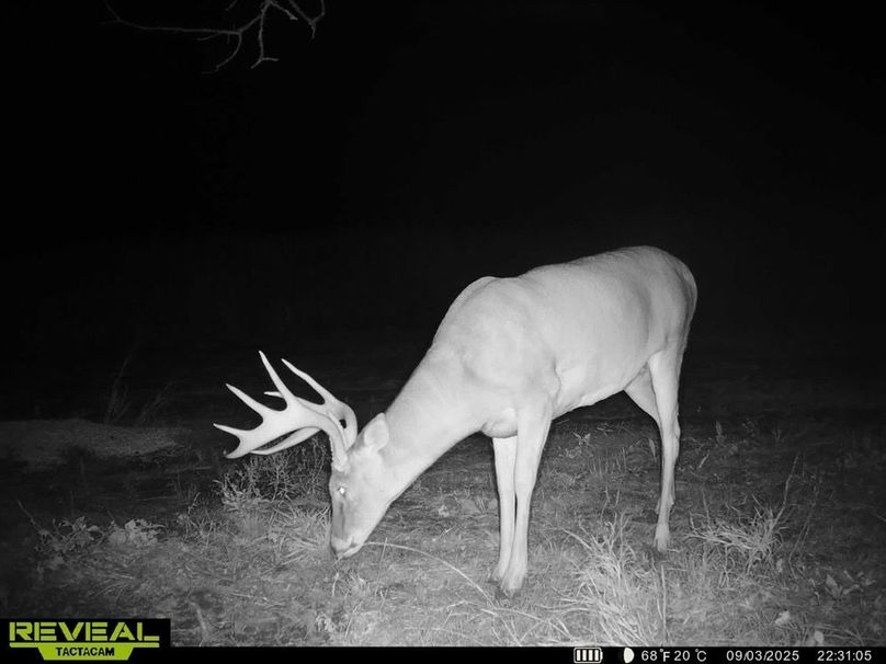 860322064549303-100-4-09042025090502-HD-SYEW3559