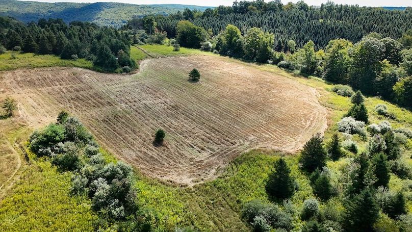 Tioga NY 232.62 Shores Photos 40