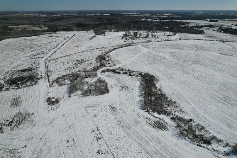 dji_fly_20260311_115612_114_1773248413098_photo (1)