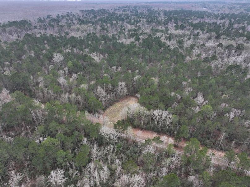 dji_fly_20260123_105324_0897_1769444795065_photo