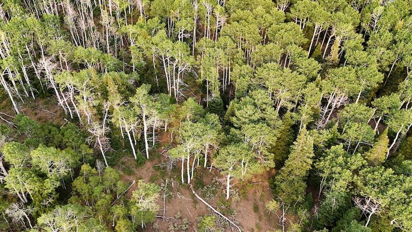 DJI_20250726183813_0214_D