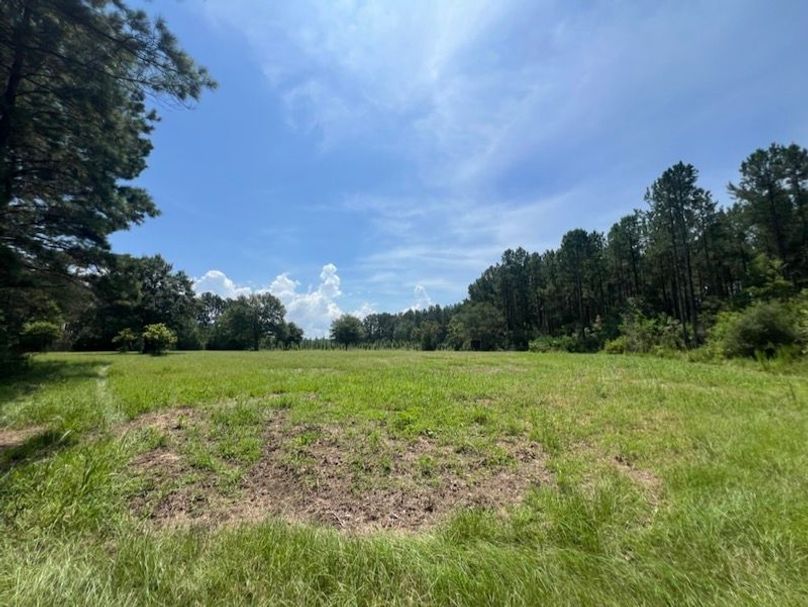 A67A70CB-FE3C-4706-A078-55F7FA9CCDCD_1_105_c