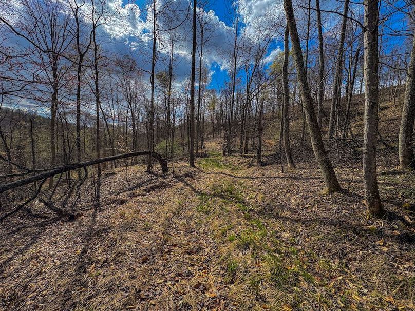 Wirt, WV 156.941 AC Full-17