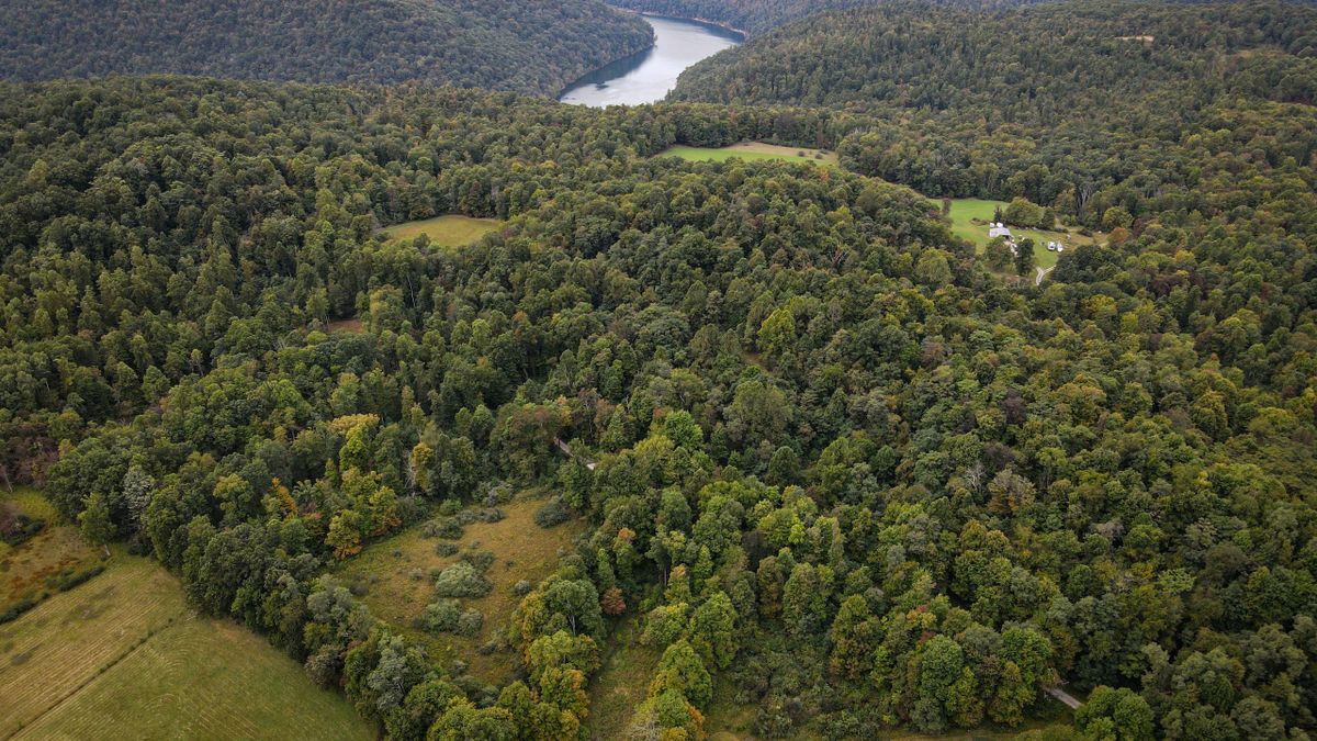 Great Tract Near Tygart Lake With Multiple Ponds Whitetail Properties