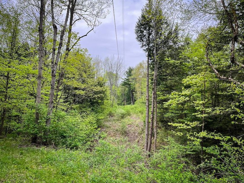 Tioga_78_Biada_Photos_12