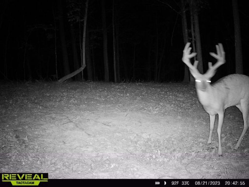 2415883e-3219-402e-912c-3e2be9e9cf2a