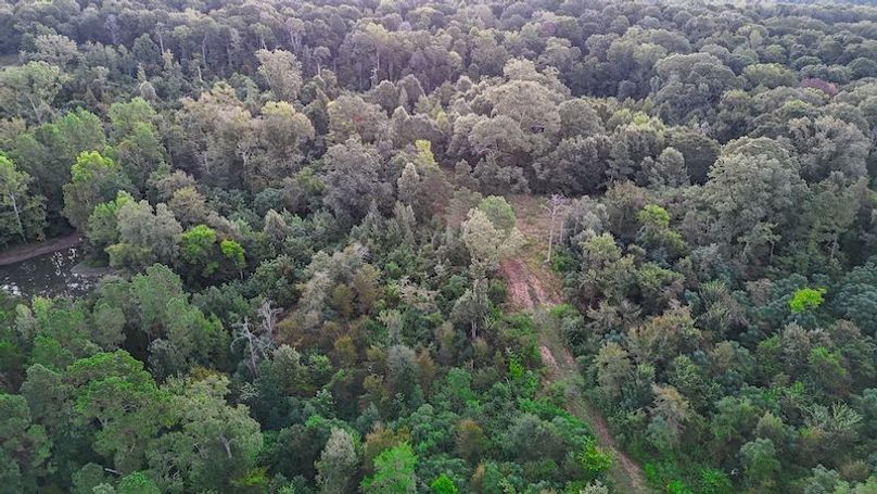 Hinds Co - 78 - Newman-09