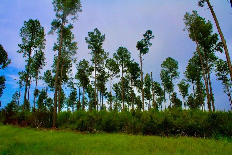 776B511E-930A-42F5-BBCC-0BBA4778AC83_1_105_c