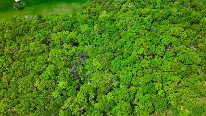 DJI_20250508022815_0120_D