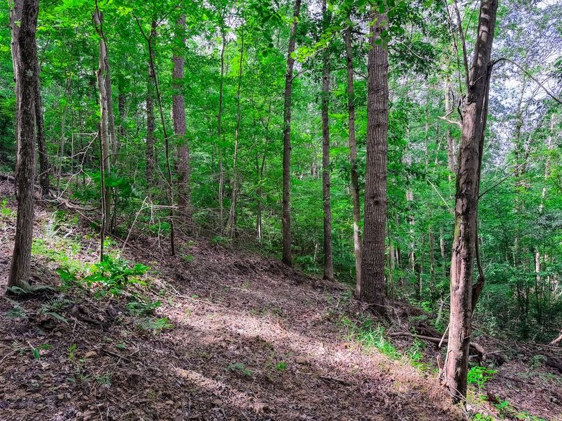 Wirt, WV 137.45 AC Full-48