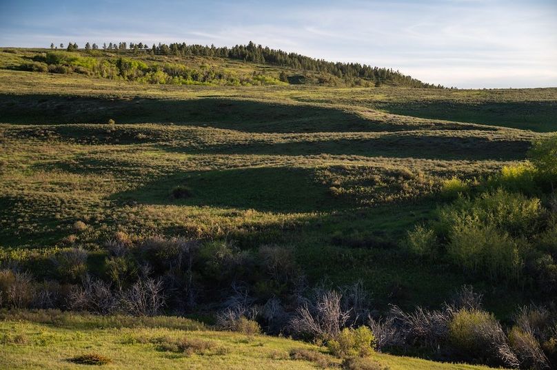 C1157A40-E033-497A-95B7-D0CE7855D548