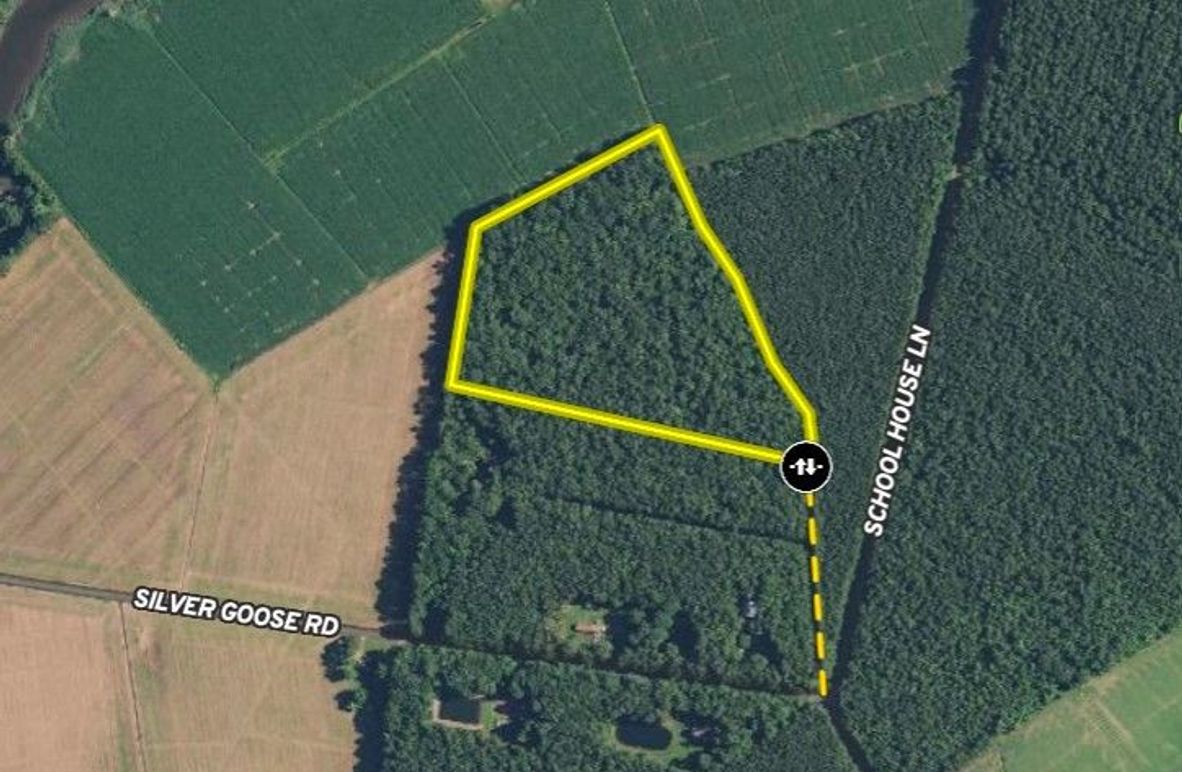 16.38ac_SilverGooseRd_DORCH_MAIN MAP