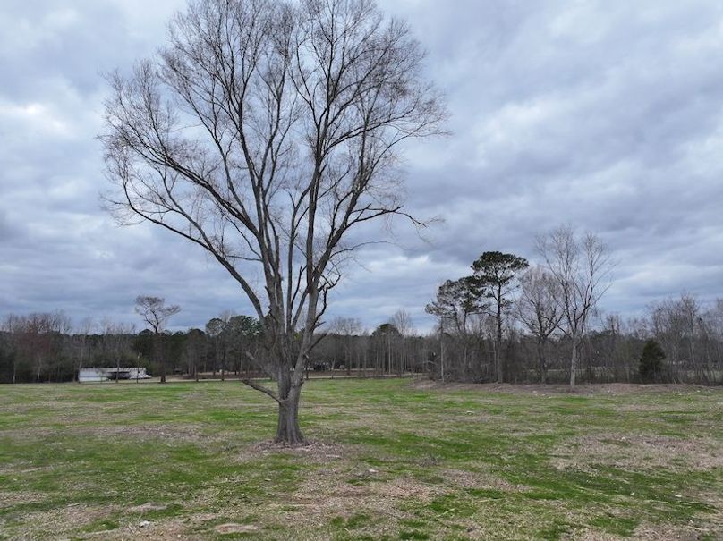 Copy of Copy of dji_fly_20260217_143940_0161_1771436901606_photo