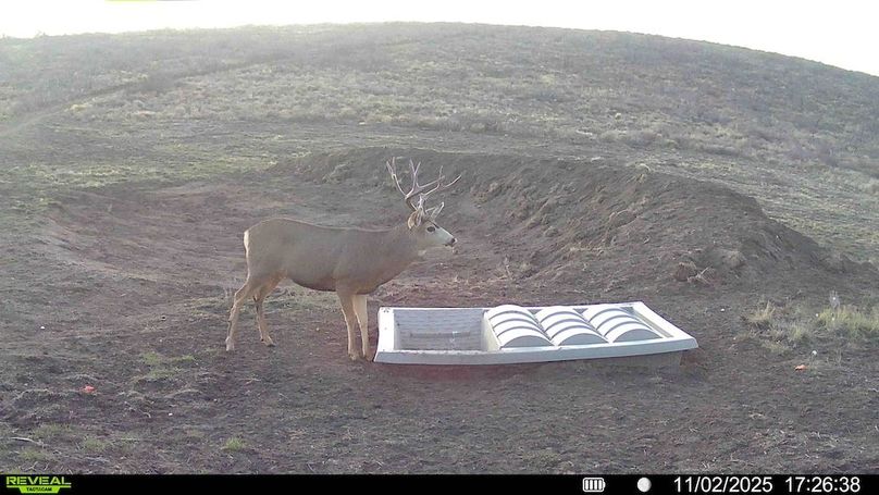 016578004267347-100-2-11032025154211-HD-SYFW00362