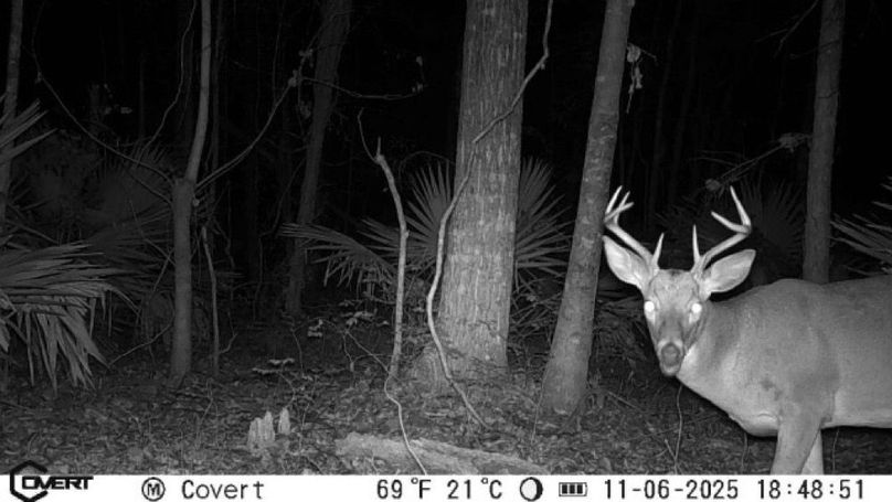 JPEG image-49D3-9D35-26-0-2