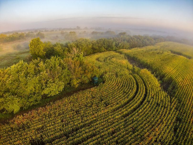 DJI_20250906073041_0035_D