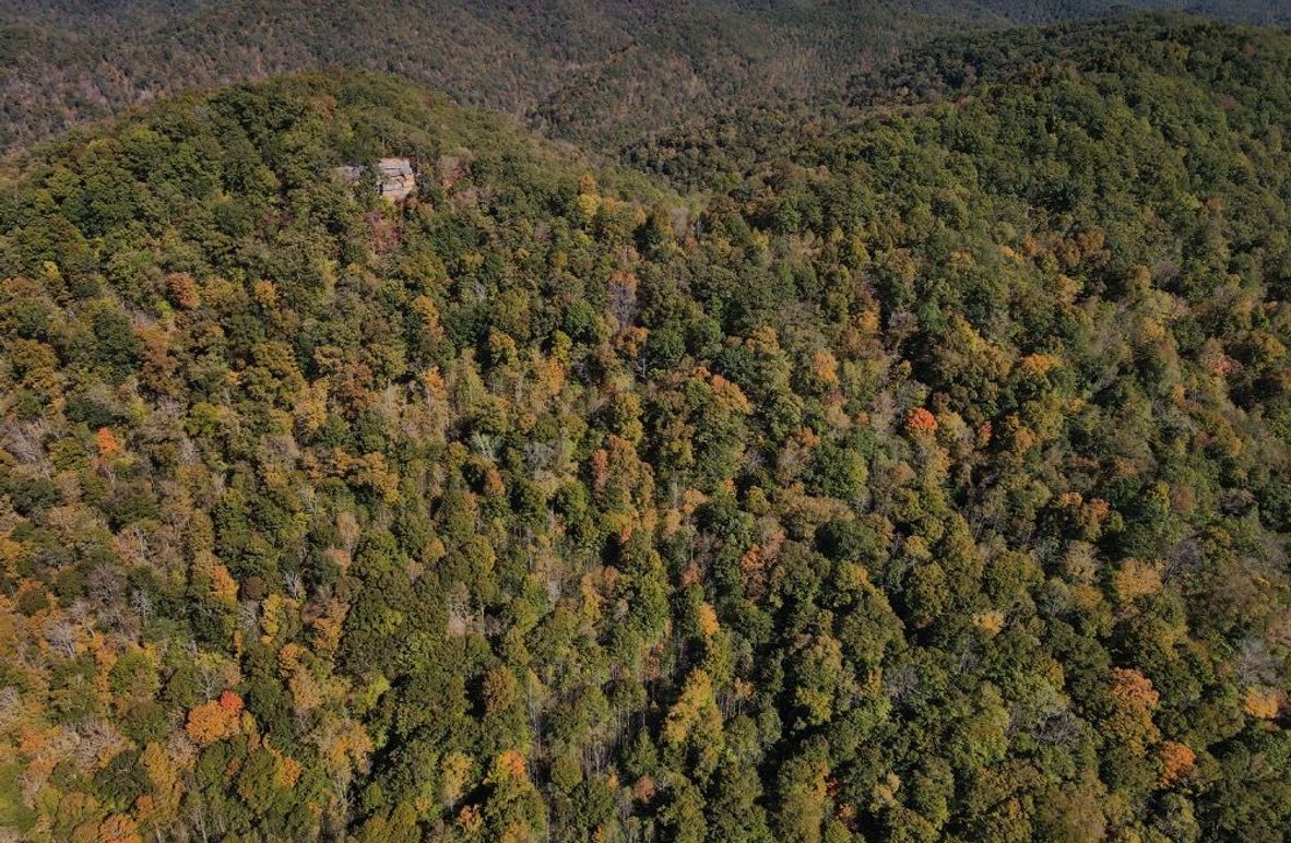 003 drone view of the timber and rock outcroppings-2