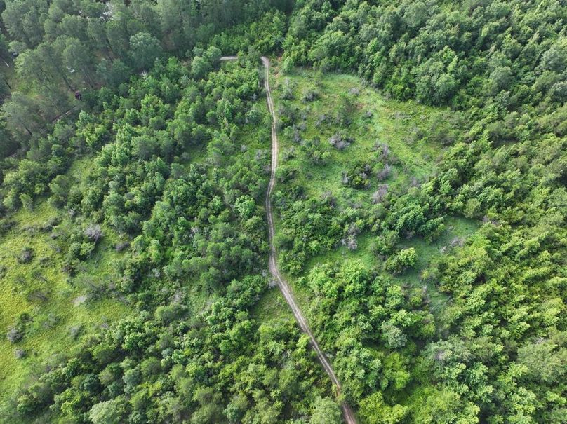 dji_fly_20250612_080428_0090_1750261389958_photo