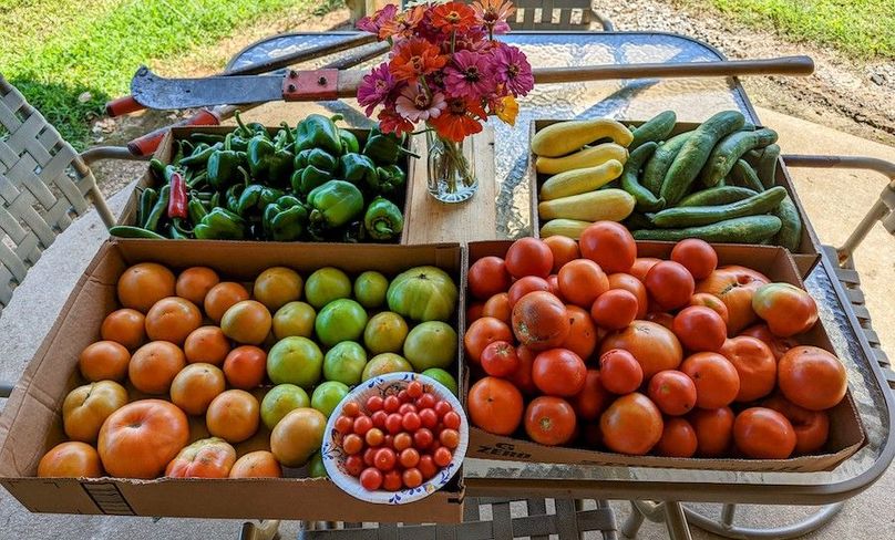 PXL_20220808_150935391~2