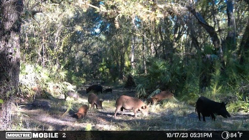 image638331608687329821