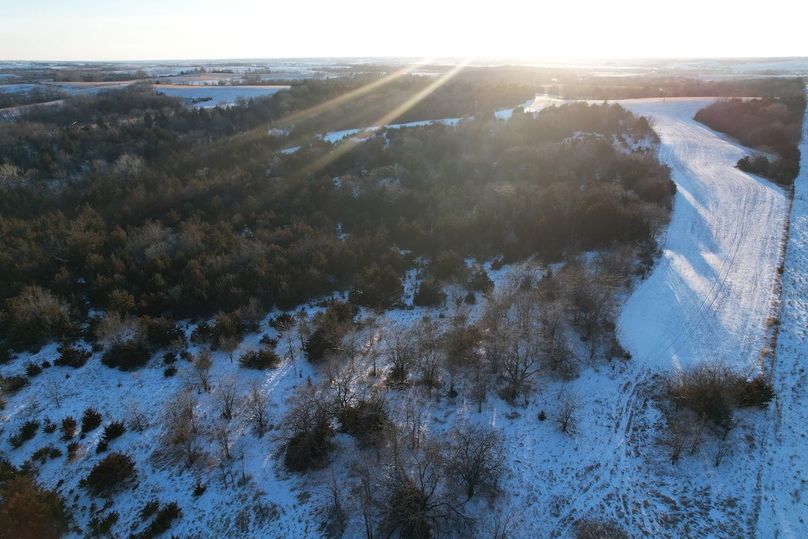 DJI_0499