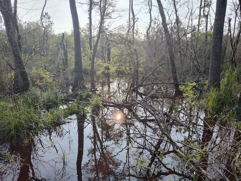 IMG_20250611_183626492_HDR