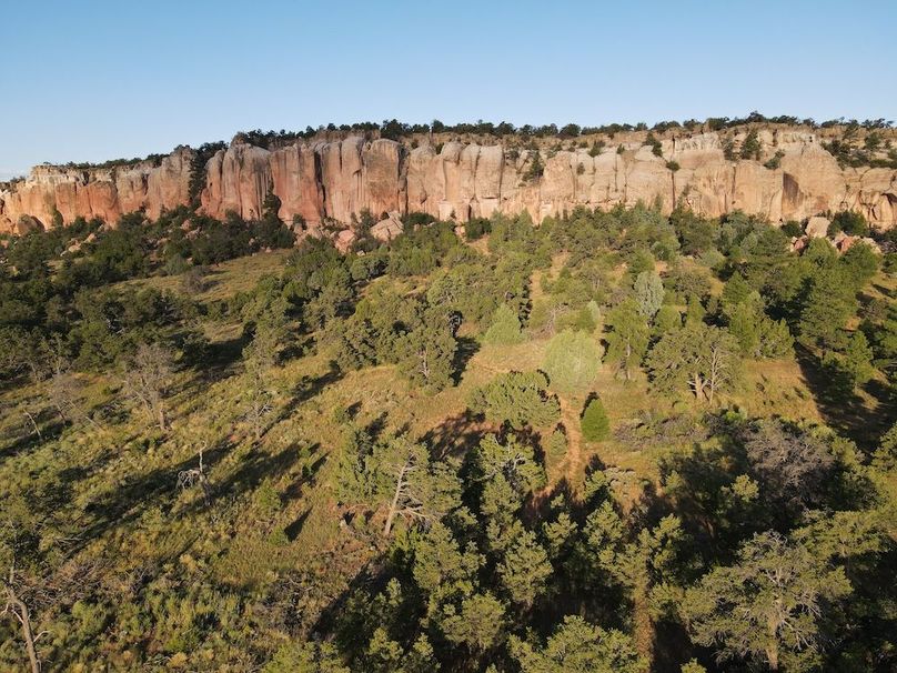 dji_fly_20240816_073758_489_1723815532398_photo