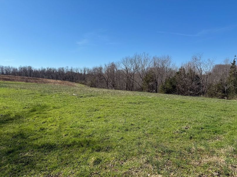 Fleming Petry 115-54