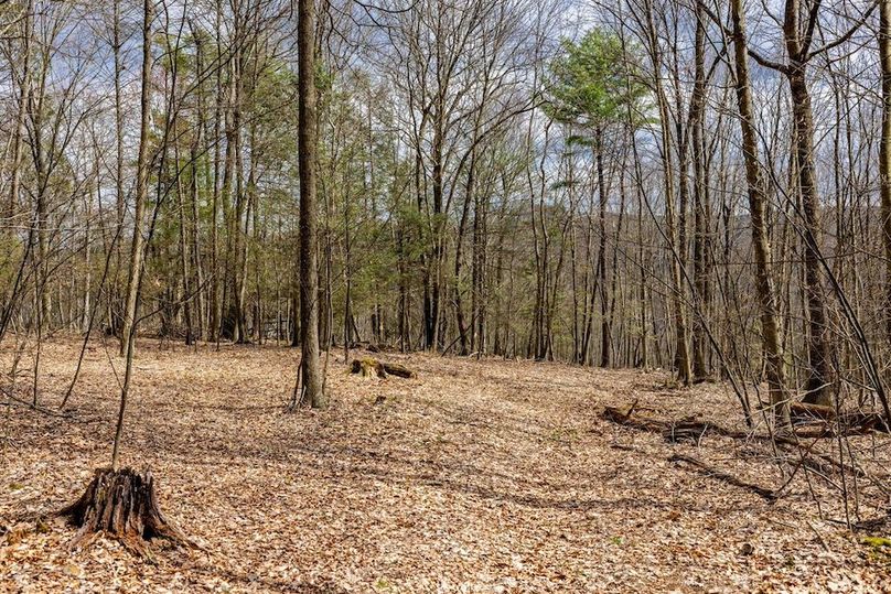 12-web-or-mls-IMG-12