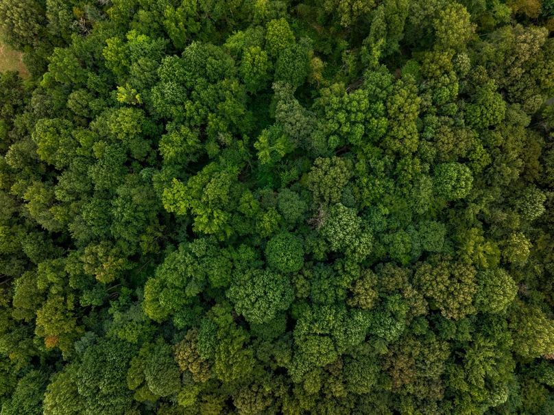 DJI_20240805045639_0948_D