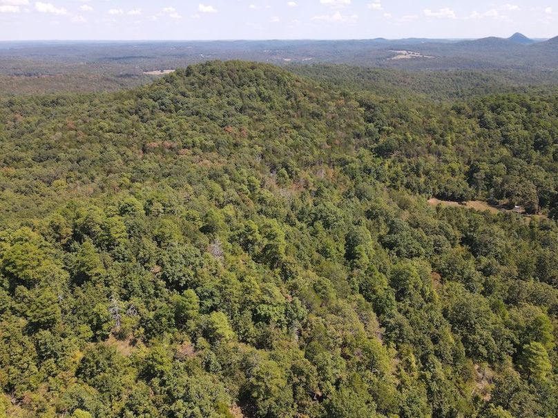 dji_fly_20250902_122358_769_1756833849439_photo