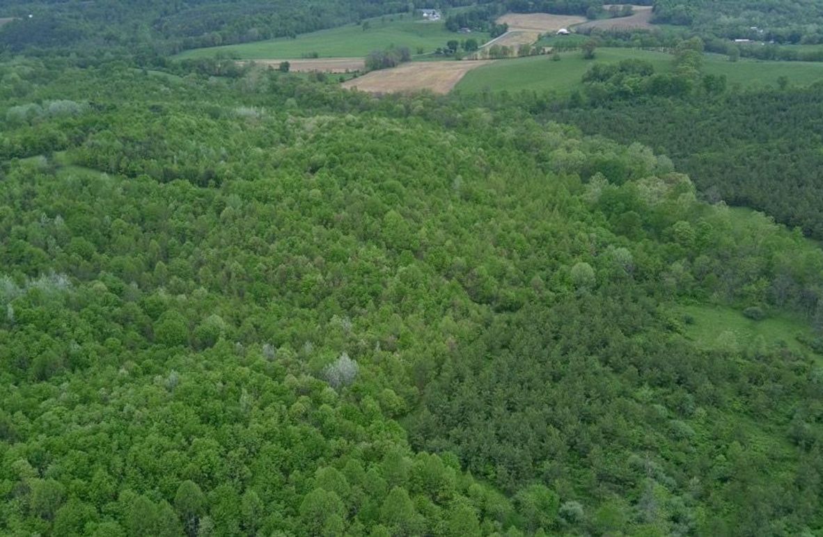 5396569_100DRONE_SING0009