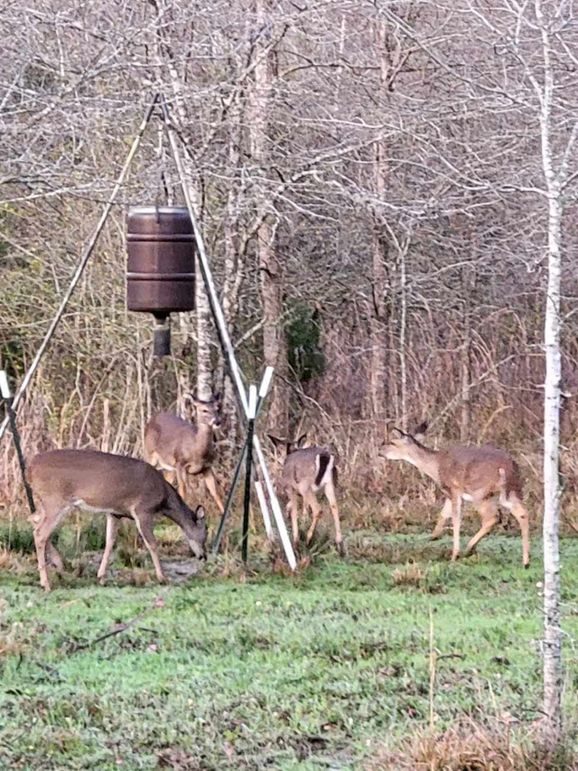 49EB4239-5B57-4662-A8F7-2974EA86CB78