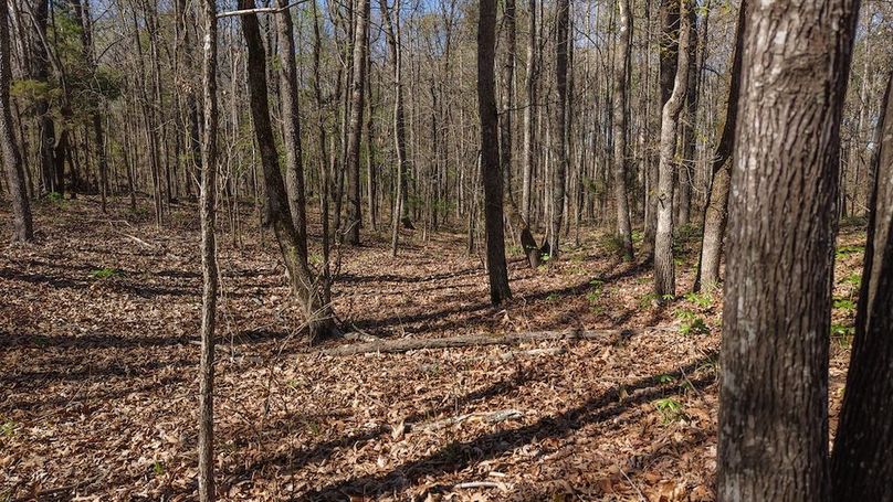 DJI_20260311013931_0054_D