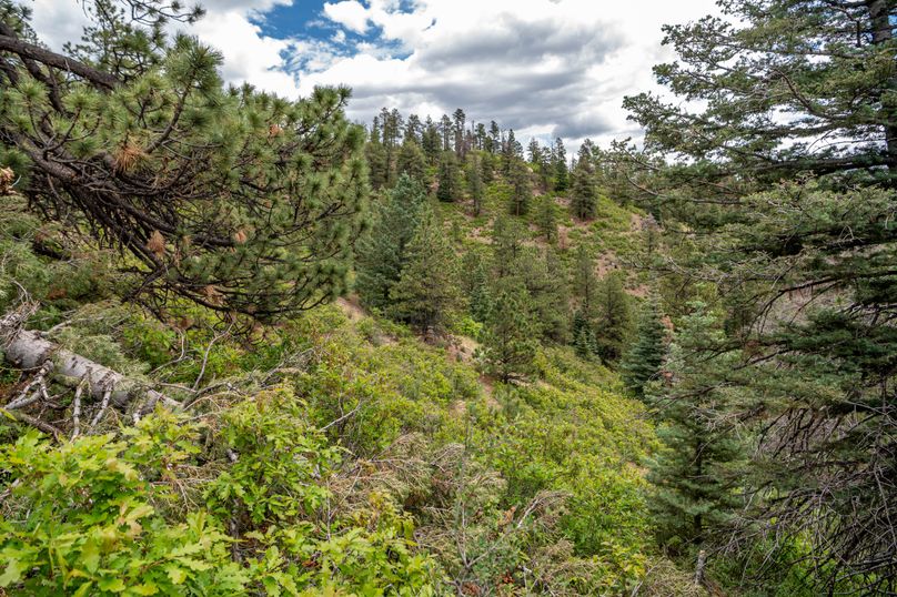 Copy of Los Alamos 508 6-24-15