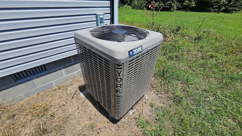 3ac_LewisLn_DORCHESTER_06