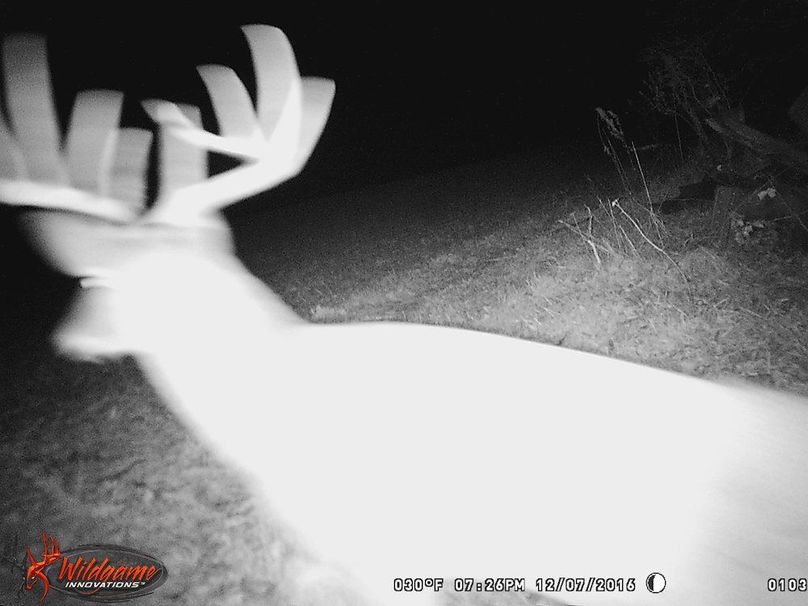 Copy of greene92 trail.19