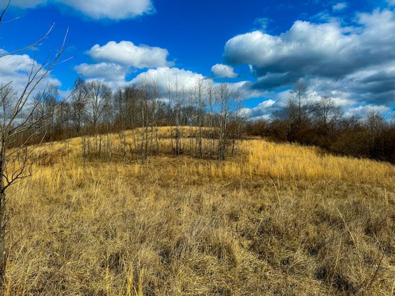 Doddridge, WV 79.08 AC Adams-43