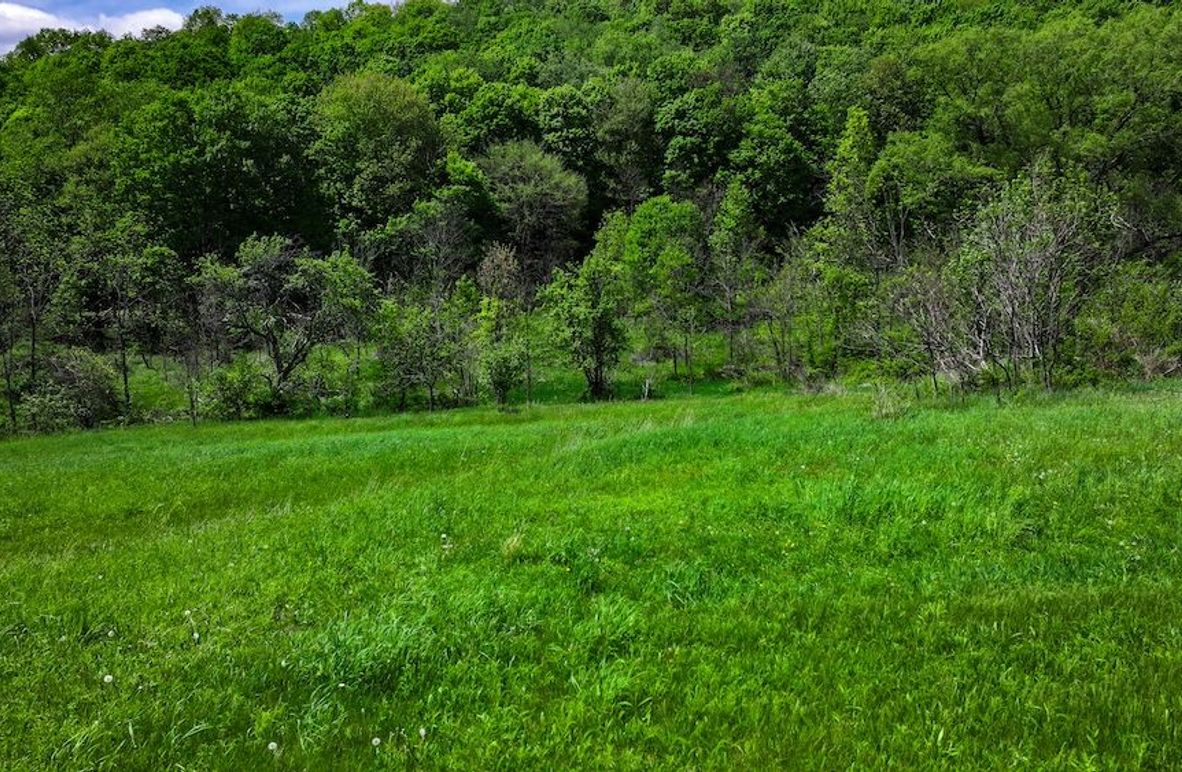 DJI_20250508022220_0098_D