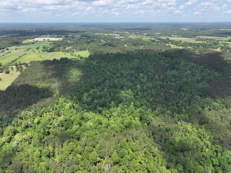 dji_fly_20260413_114822_0040_1776114934395_photo