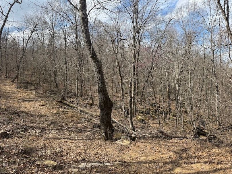 stone8020260306_0094