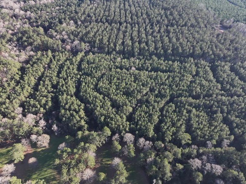 dji_fly_20260216_152130_0084_1771284233760_photo