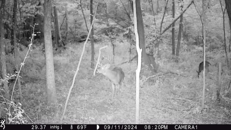 Trail Cam.20