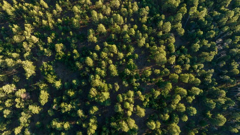 Cibola NM 13,053-0148