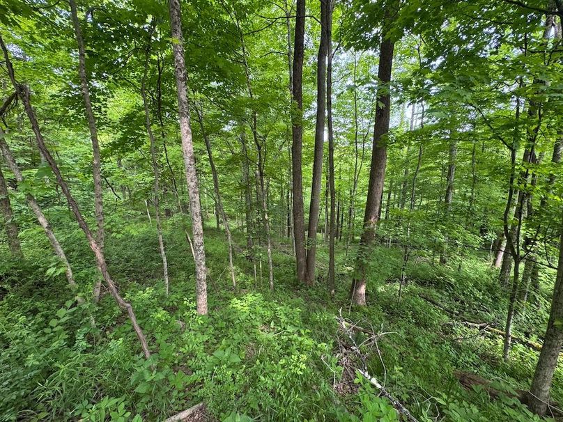 Pleasants, WV 168.59 AC Superior, Swank, Young-073