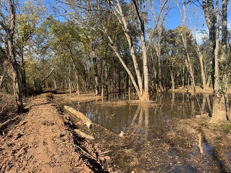 1a1 jeff 8320251111_0273