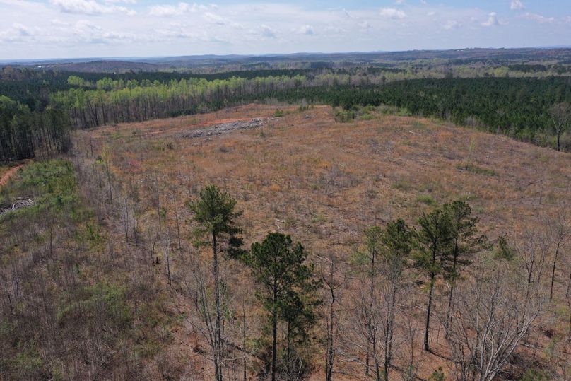 Copy of 200ftCardinal-8